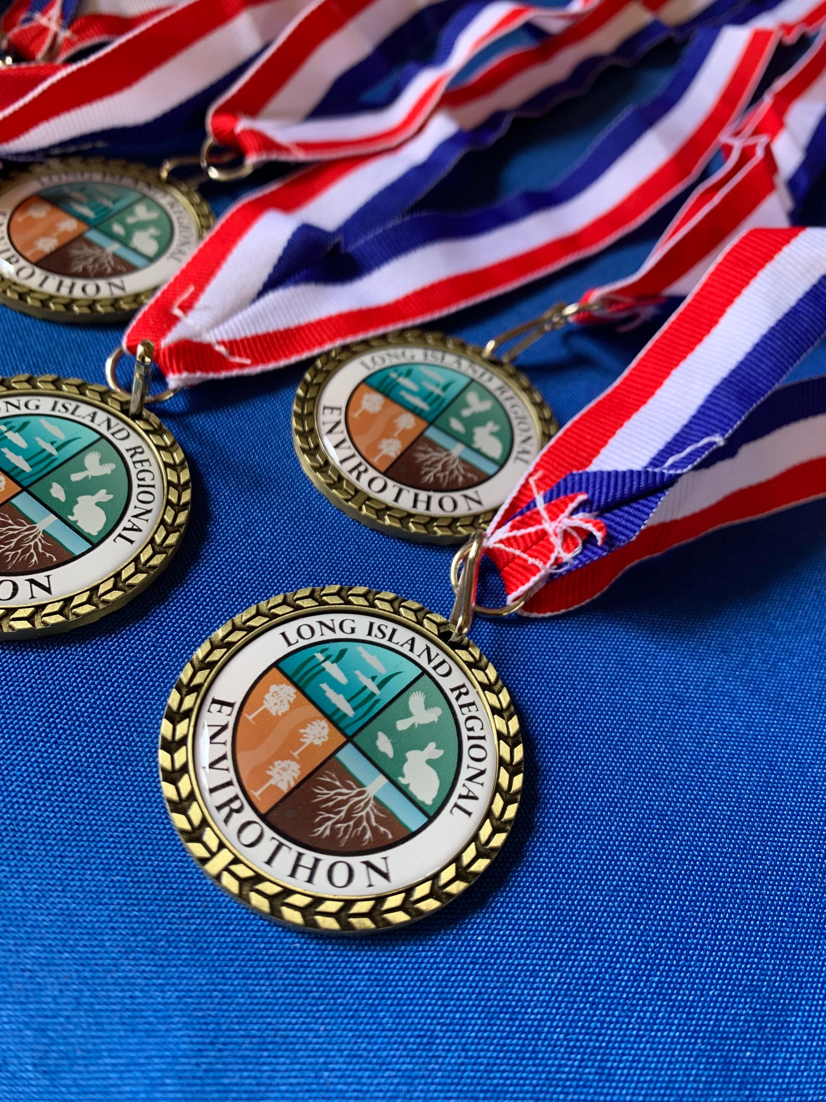 Long Island Envirothon award medals 2023