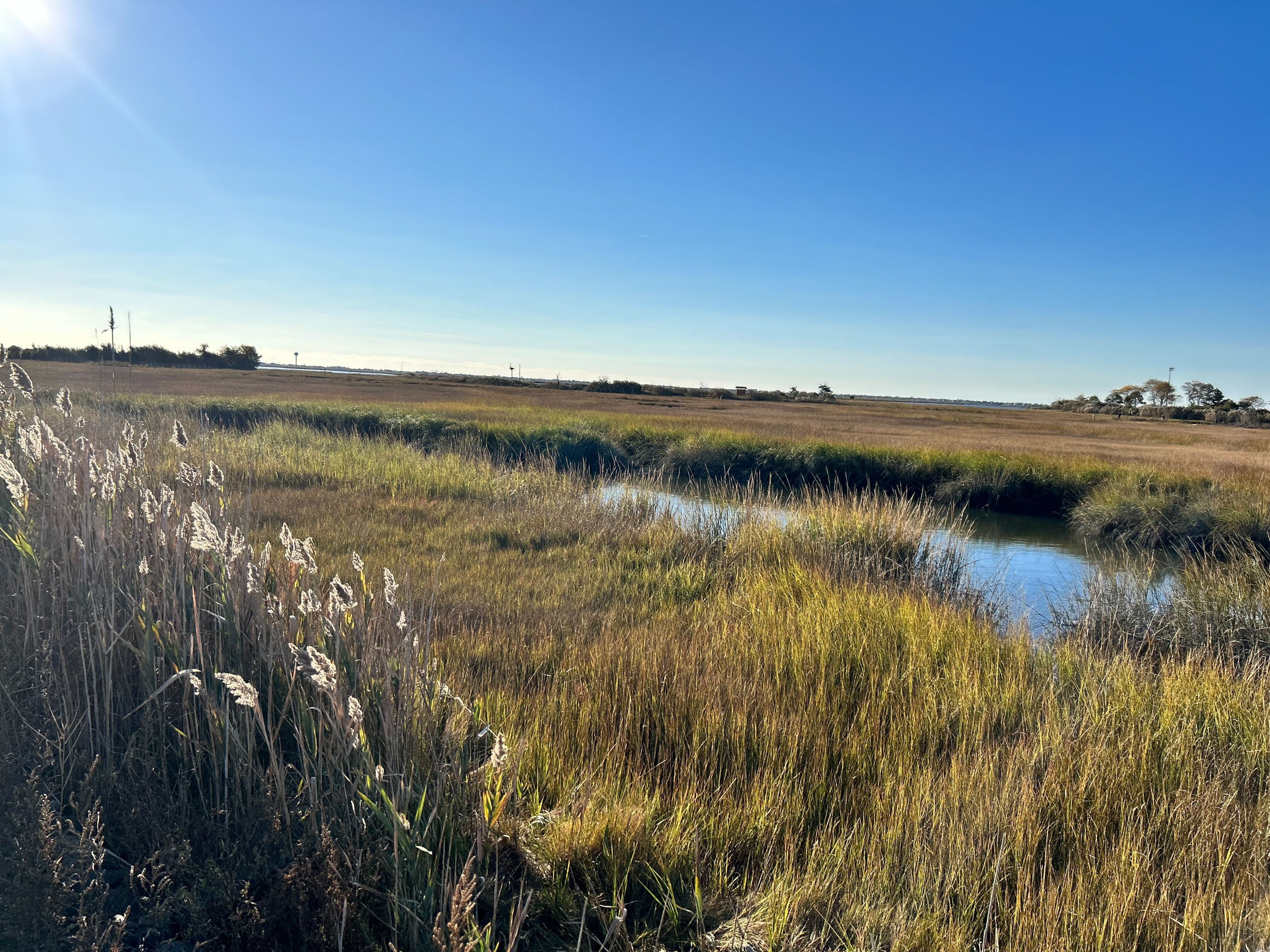 Marine Nature Study Area Oceanside