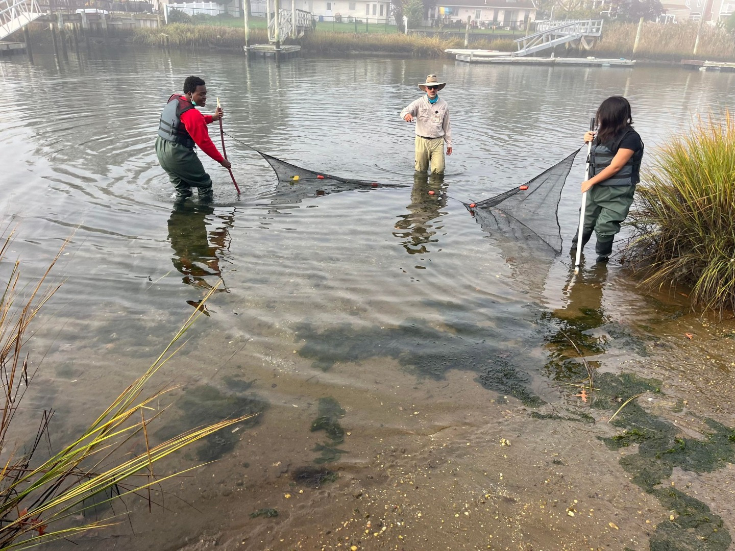 Students using siene net for sampling