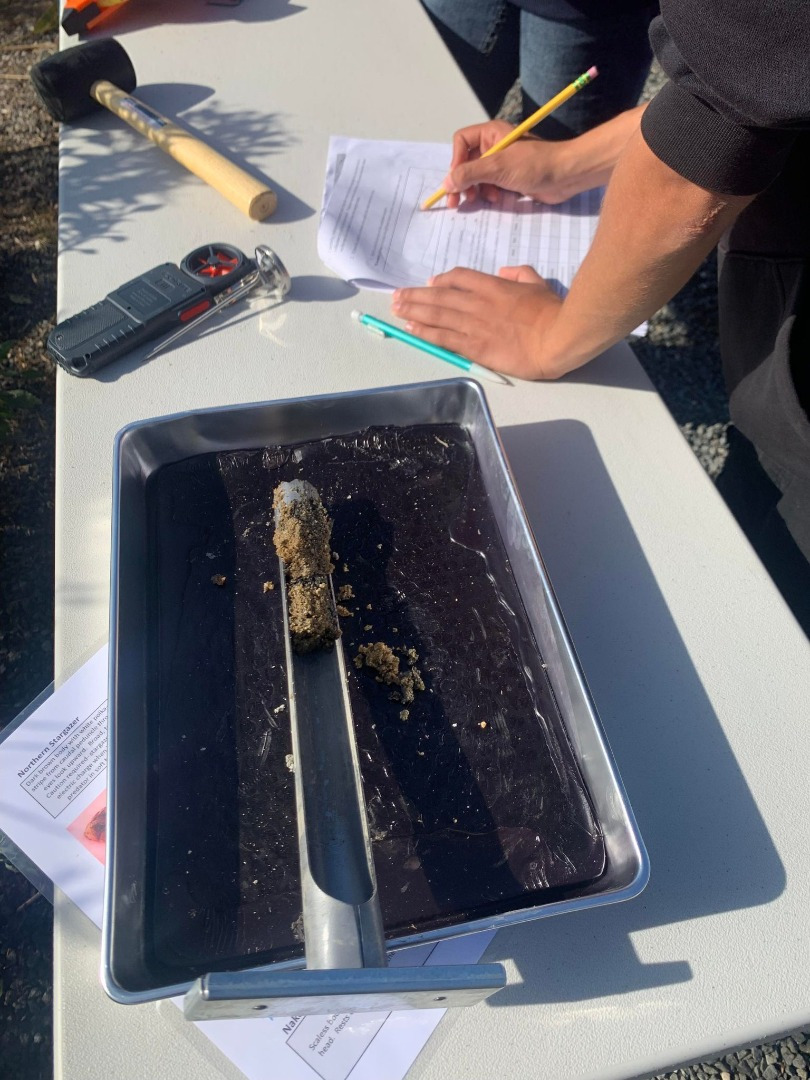 Soil core sample