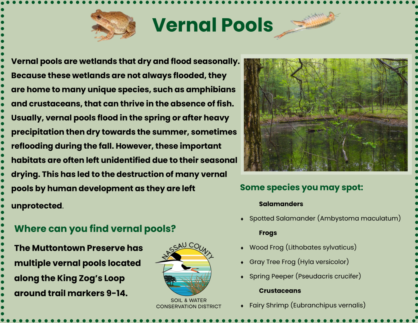 Vernal Pools educational poster