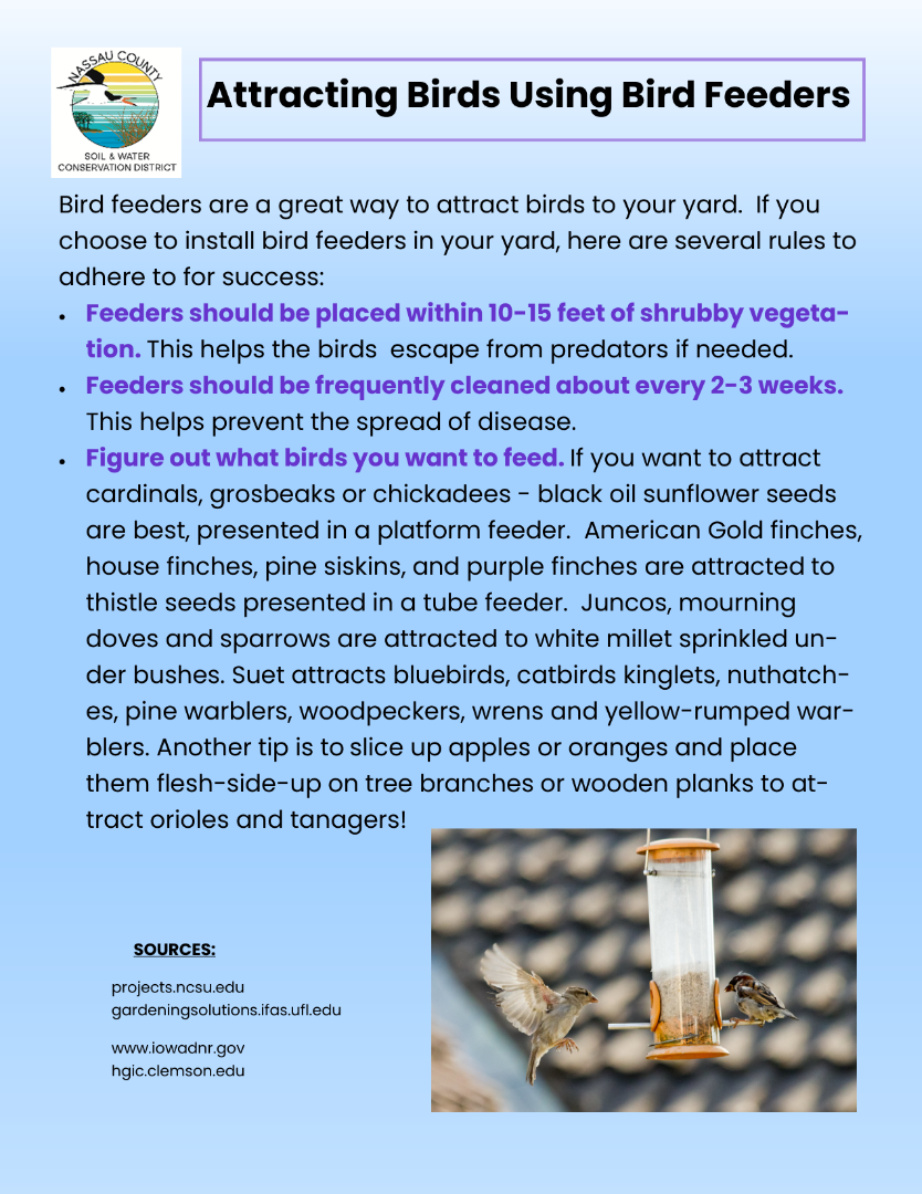 Attracting birds using bird feeders