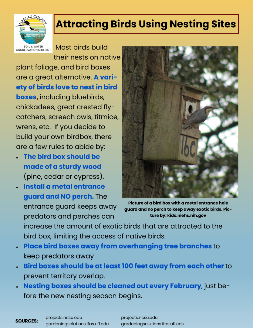 Attracting birds using nesting sites