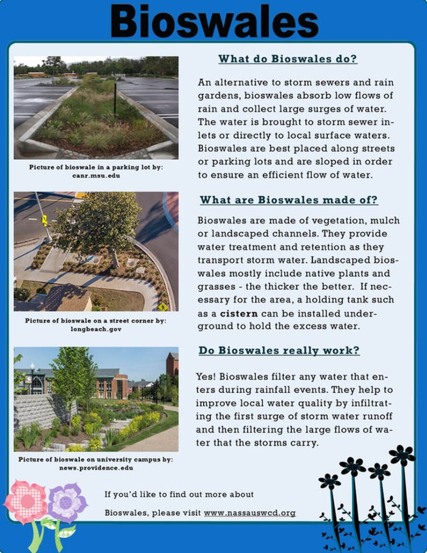 Bioswales Info Sheet
