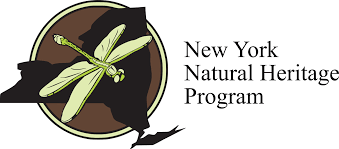 NY Natural Heritage Program logo