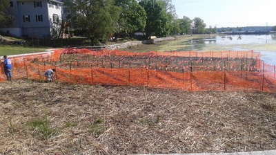 Protection fencing