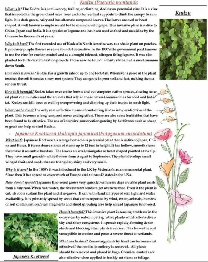 Invasive Species Educational article 4