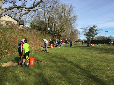 planting saplings picture of the group