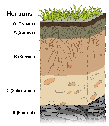Picture of man holding soil