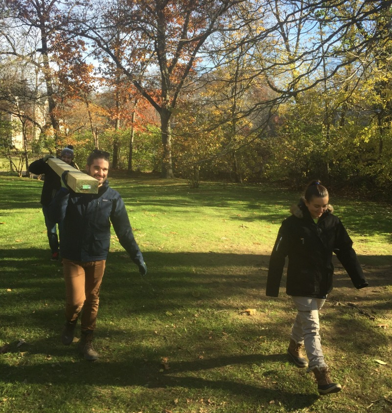 Installing a batbox in Pond Park