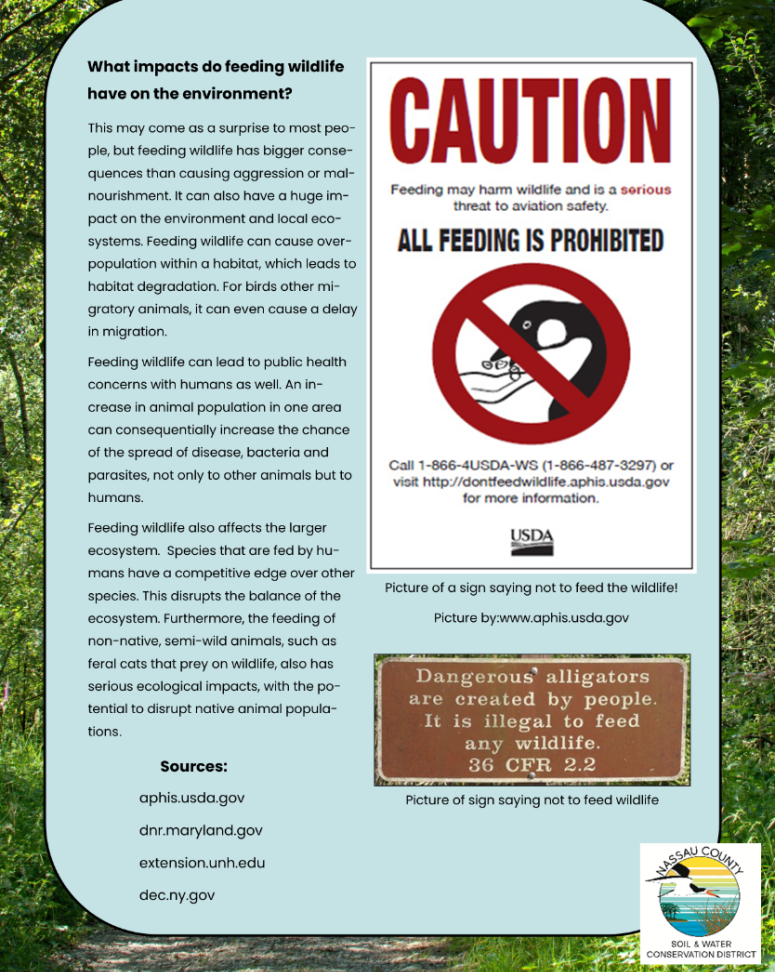 Impacts of feeding wildlife
