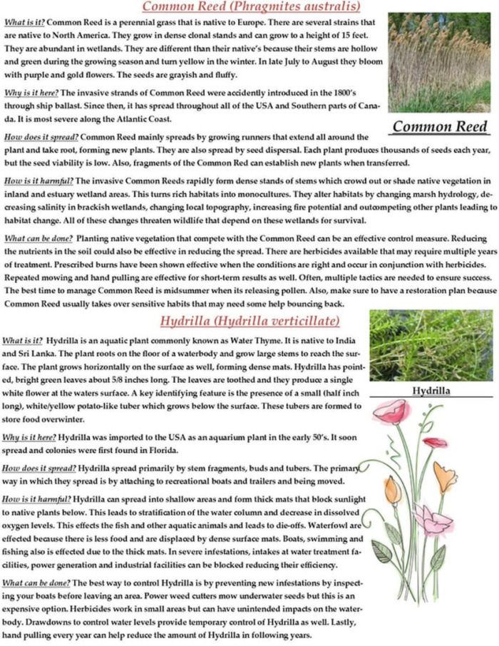 Invasive species Educational article